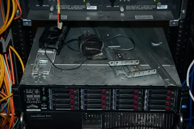 DSC_1329 (Large).JPG